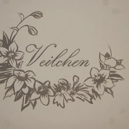 Gaestehaus Am Kurpark באד שאנדאו